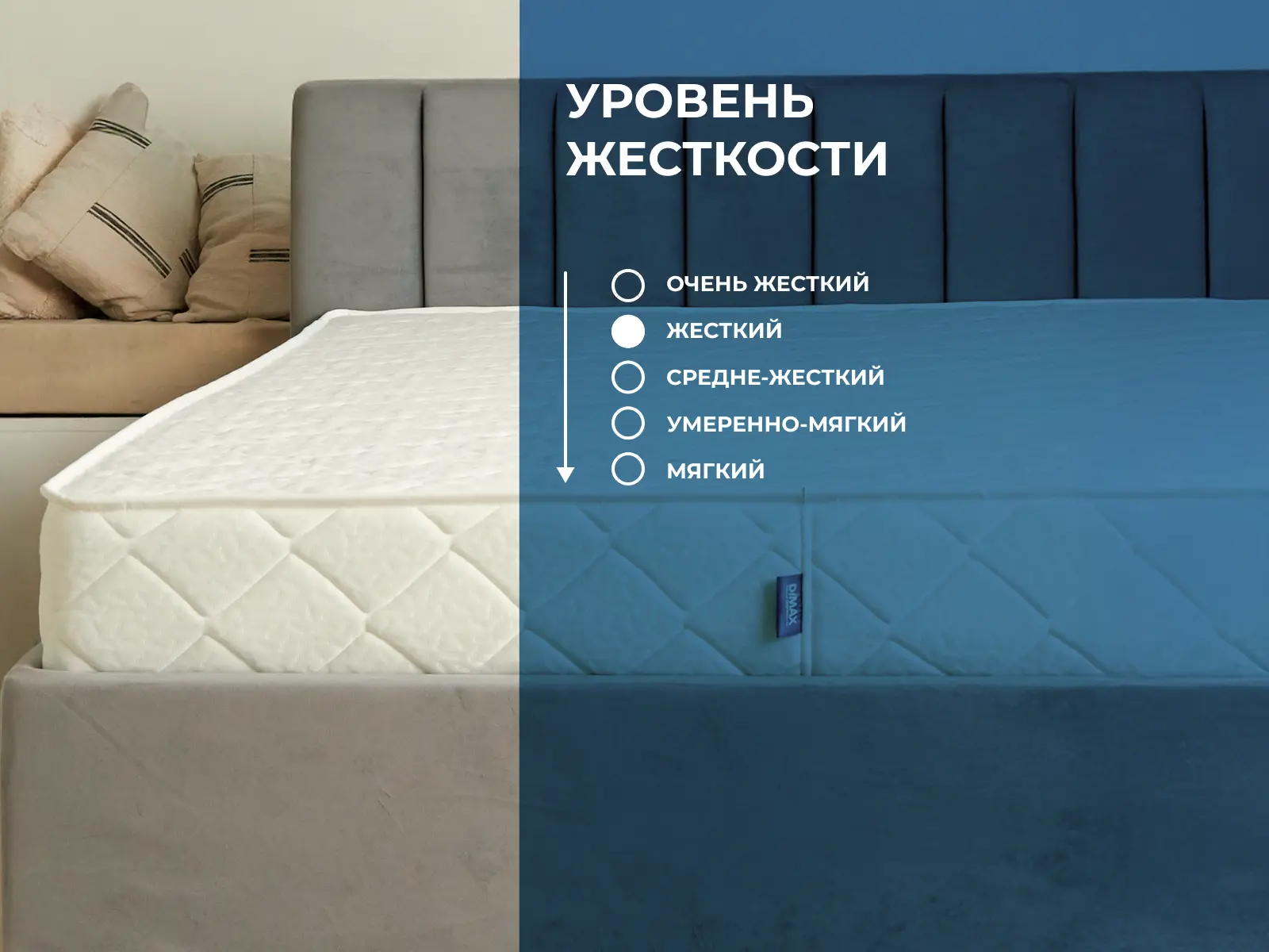 ������ Dimax Relmas Twin Cocos S1000 ��������