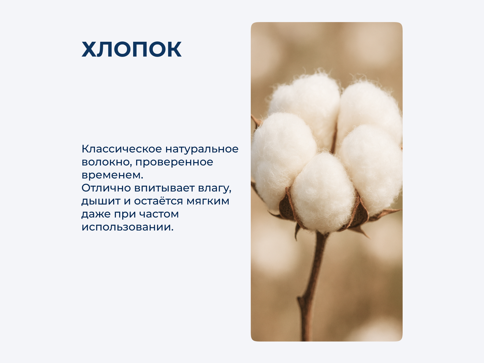 ��������� Lappartement Kelsie 100�180 �� � 5 ��������� � 24 �������