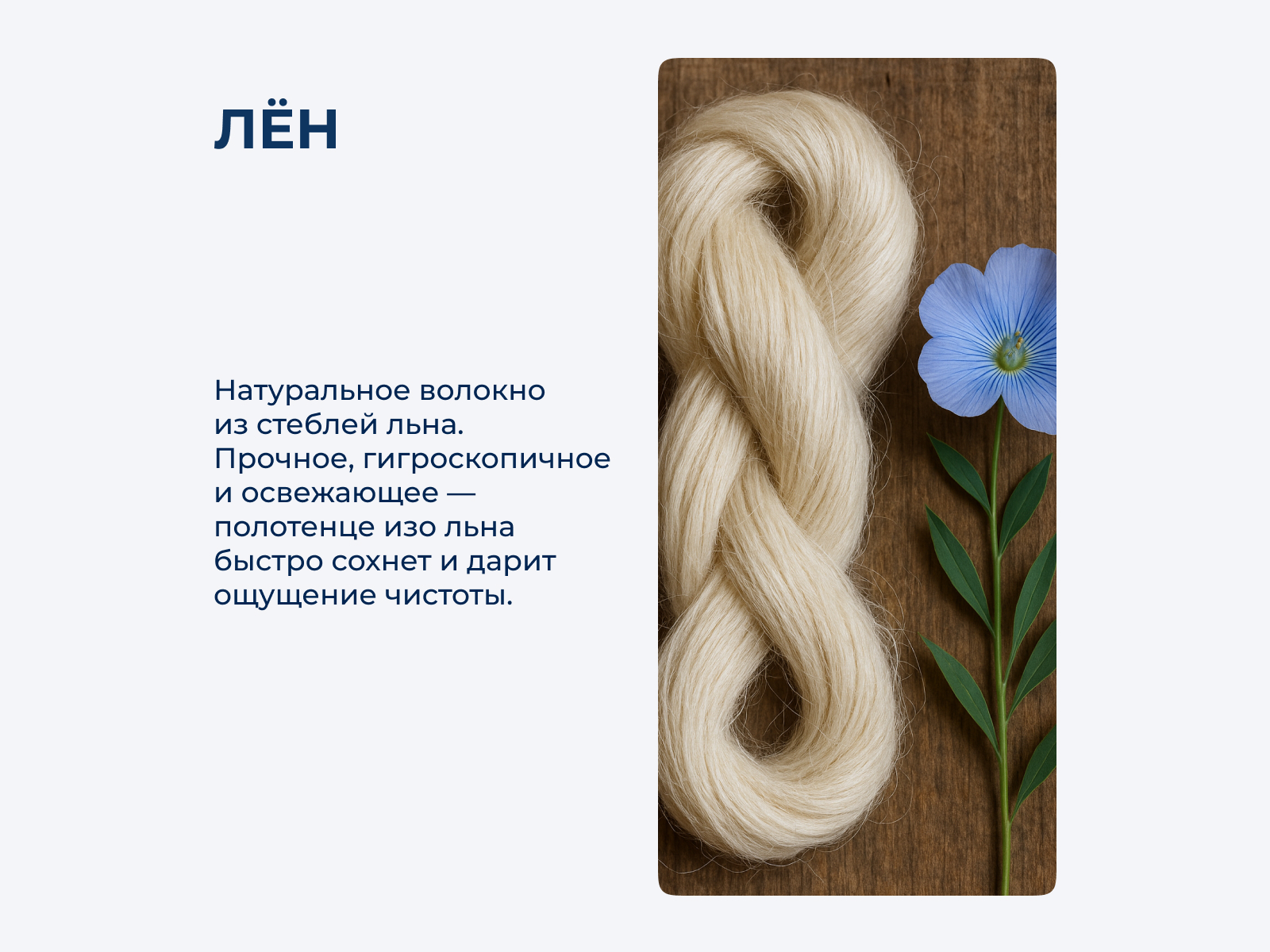 ����� �������� ��������� Luxberry Timeless maxi � ˸�