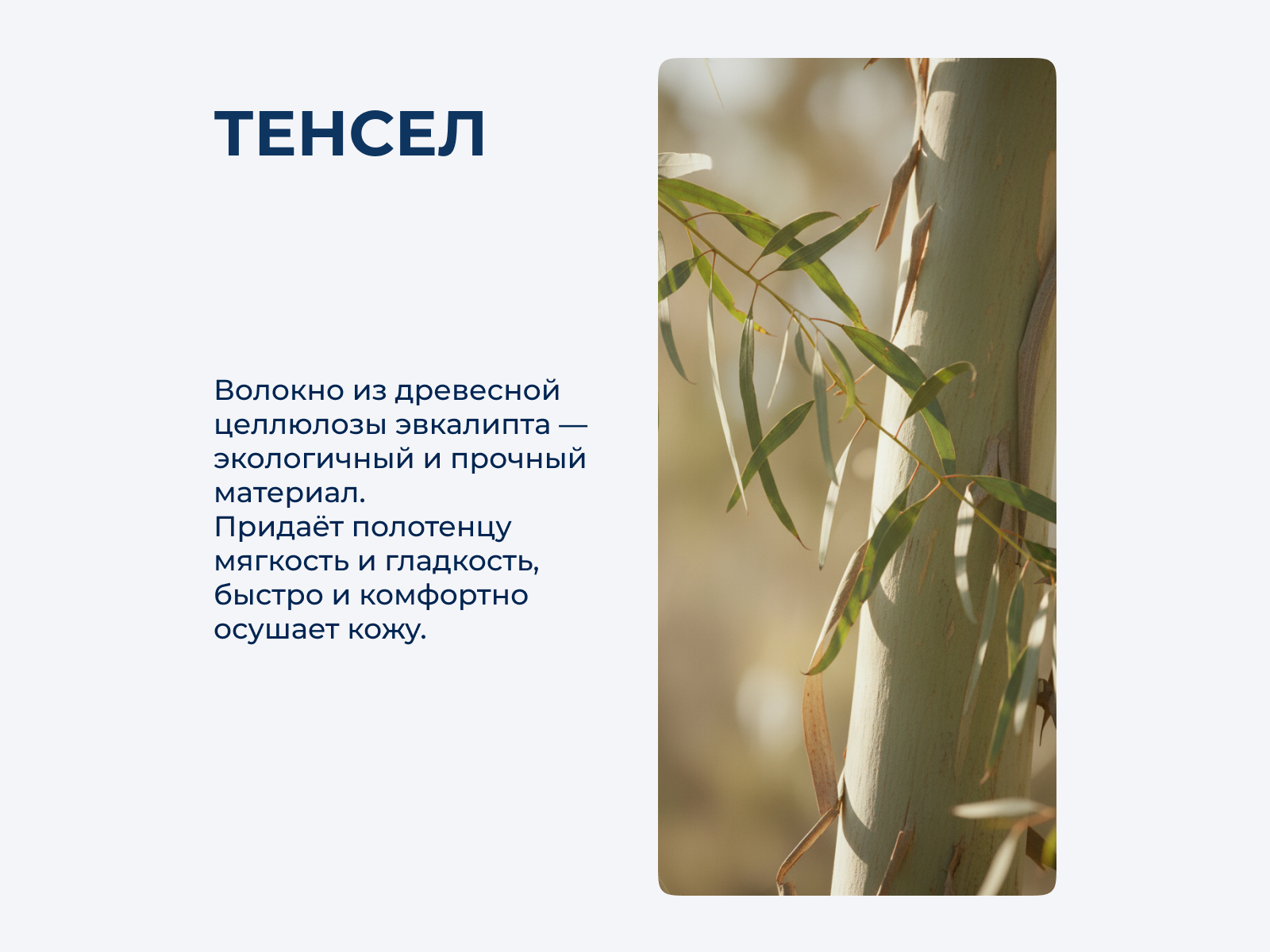 ������ ��������� Lappartement Fancy 33x33 �� ��������