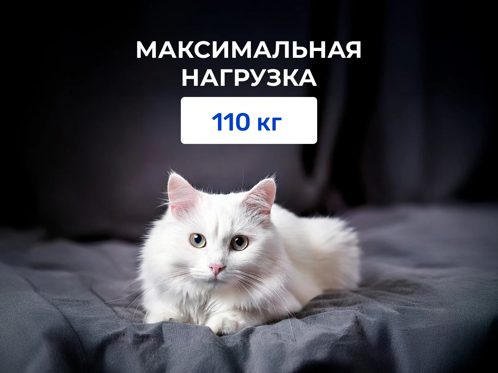 ������ Veeron ������� ����� � ������������ ��� ������ ������������: 110 ��. � �������� 2 ����