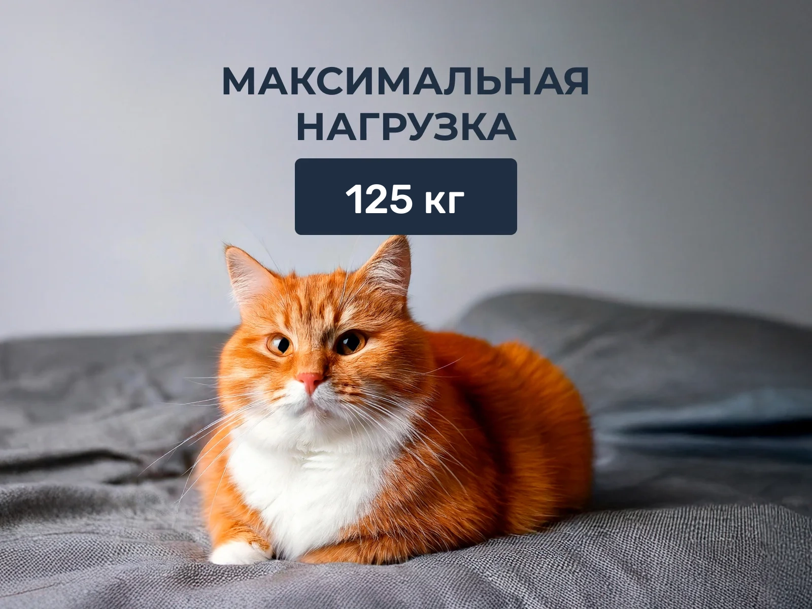 ������ Mr.Mattress Amnesia XL � ���� �� ������ ������� ����� � ������������ ��� ������ ������������: 125 ��.