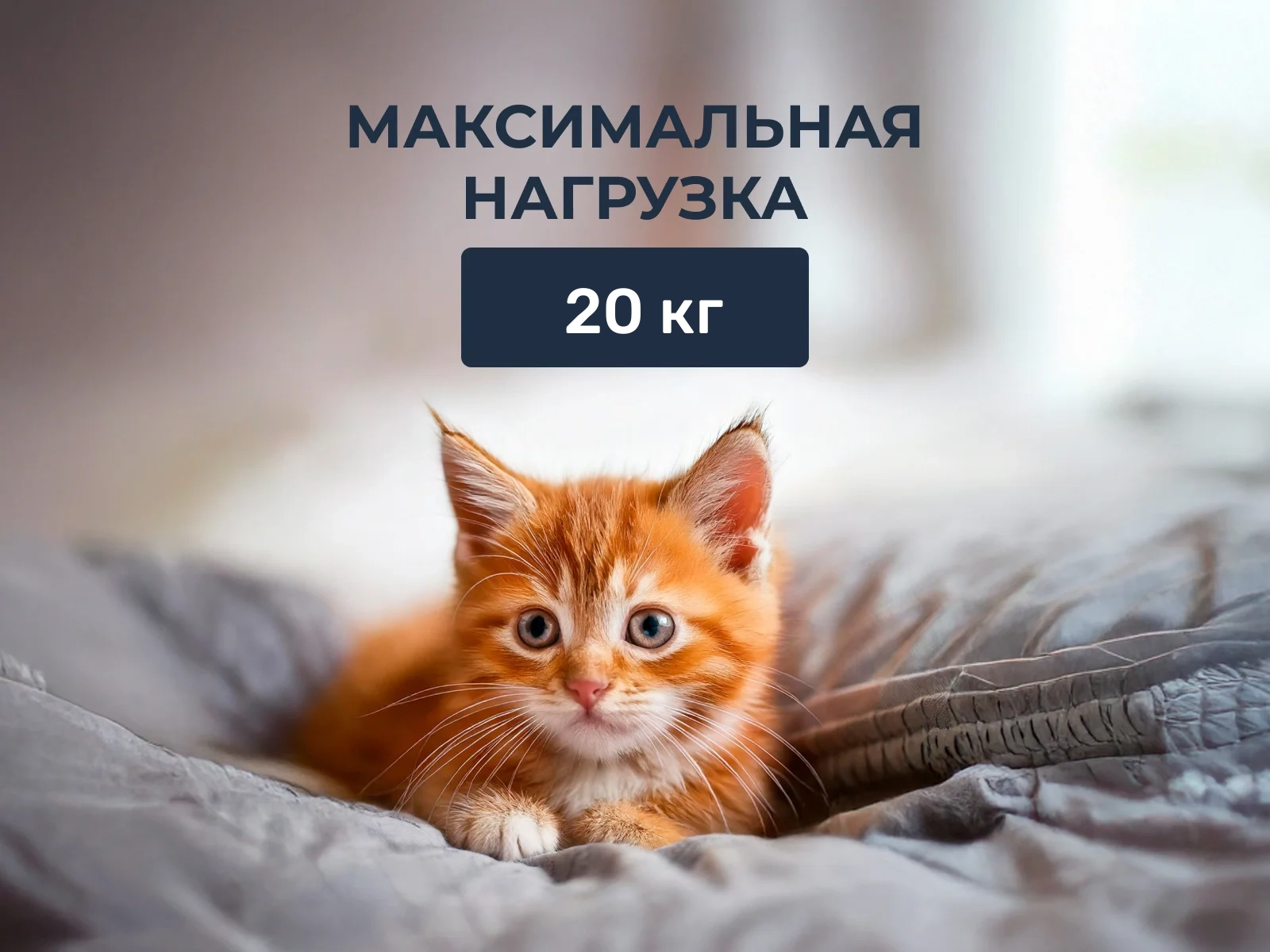 ������ Stolline ������� - ������� � ���� 17140 �. � ������-������� ������