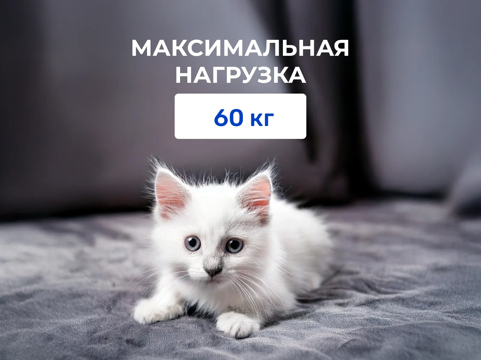 ������ Velson Baby-1 � ������-������� ������ � ������ �������: 12 ��.