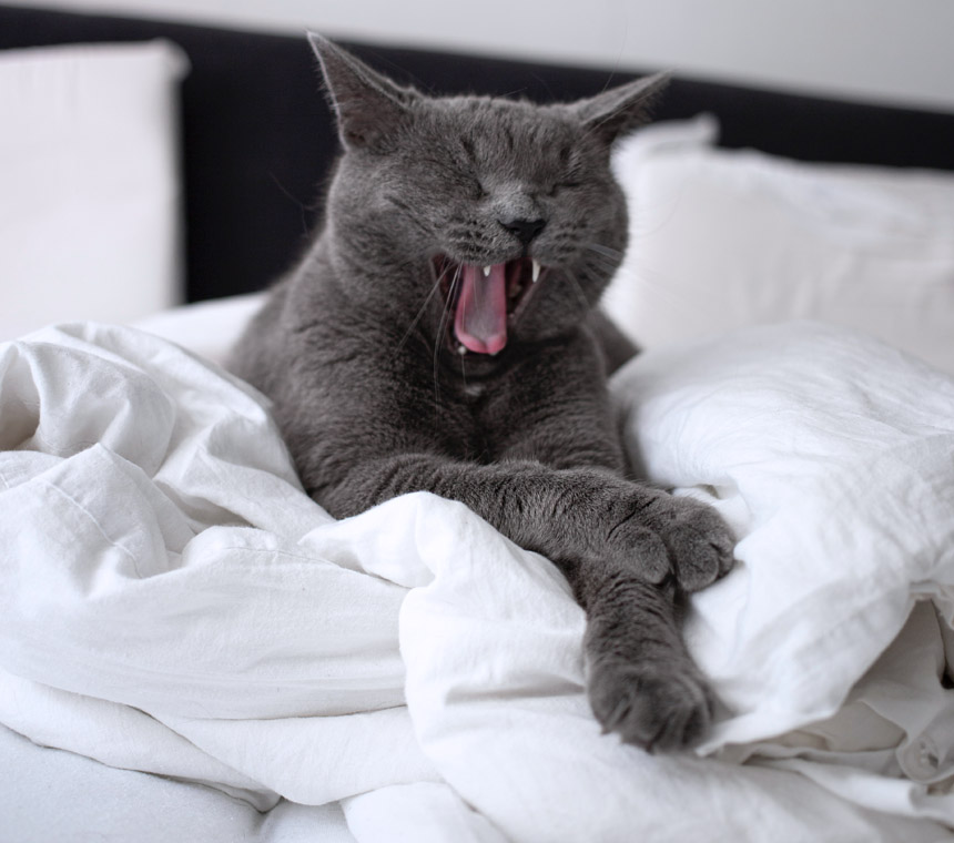 ��� ��������� ������?