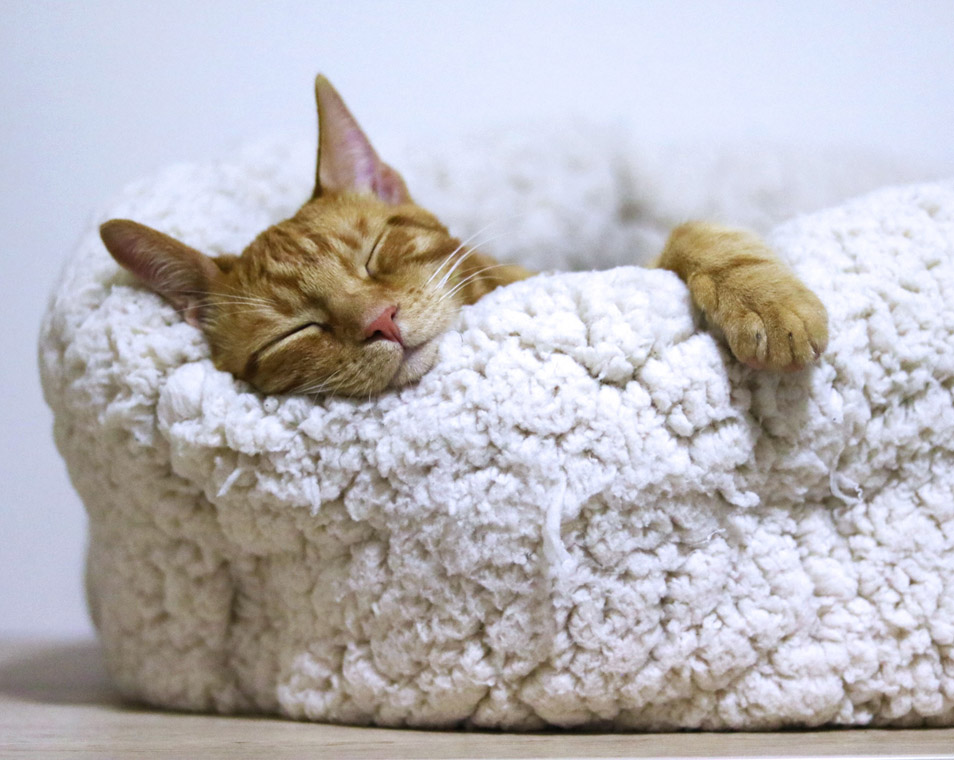 ��������� ����� ����������