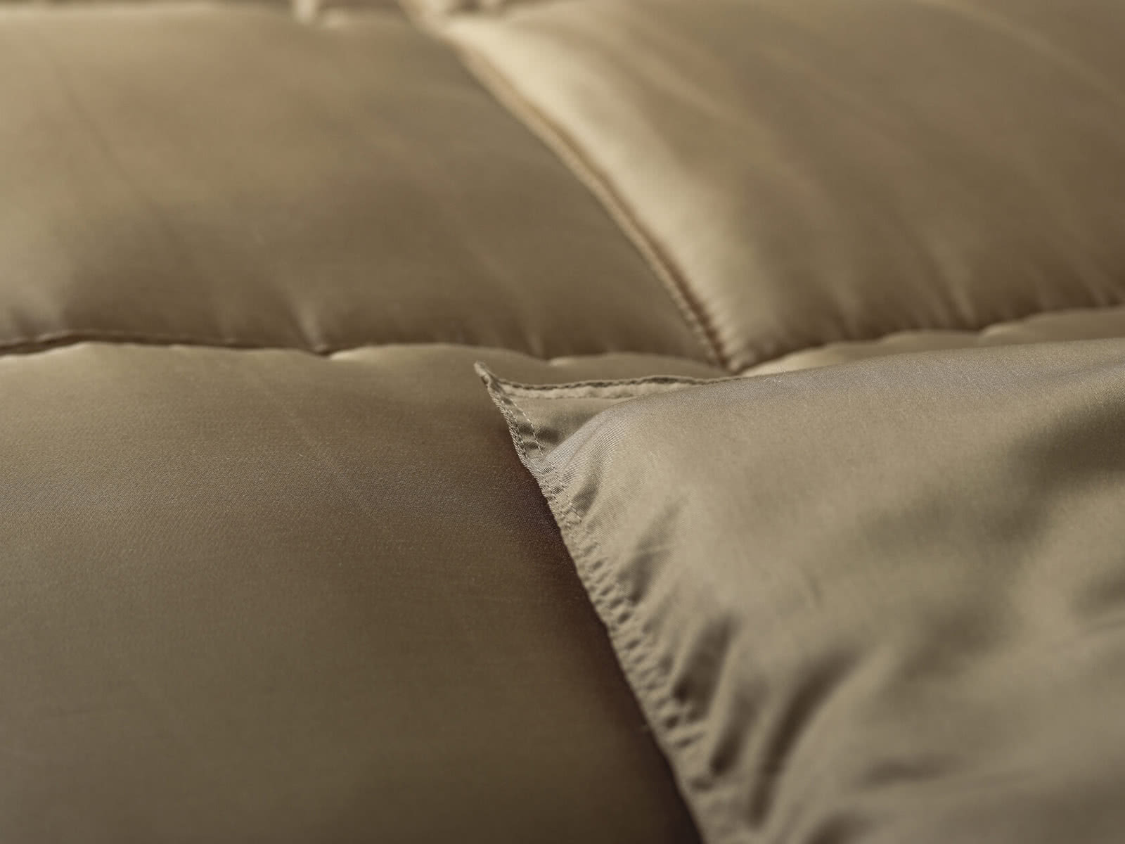 ������ ������ Camelrussia 64-�� ������, ��������� �����