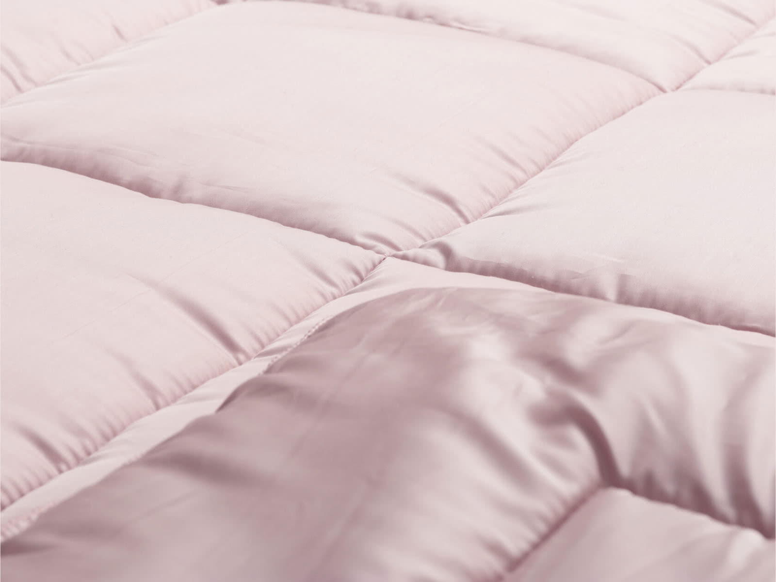 ������ Camelrussia 62-�� ������, ������ ������� ���� � ��������� ������ � 17 ��������