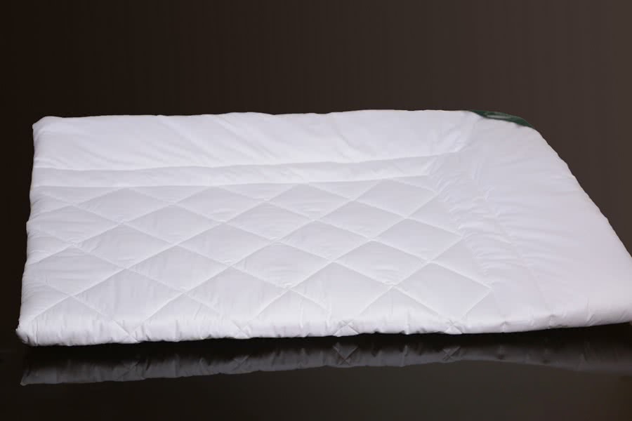 ������ Anna Flaum Bamboo, ����������� � ���� 12884 �. � �����������