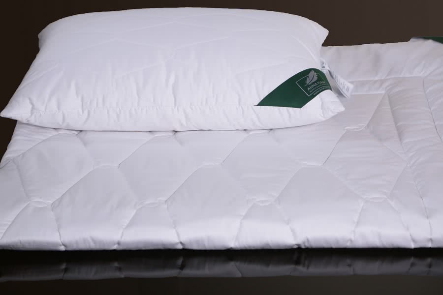 ������ Anna Flaum Kamel, ������ � ��������� ������ � 11 ��������