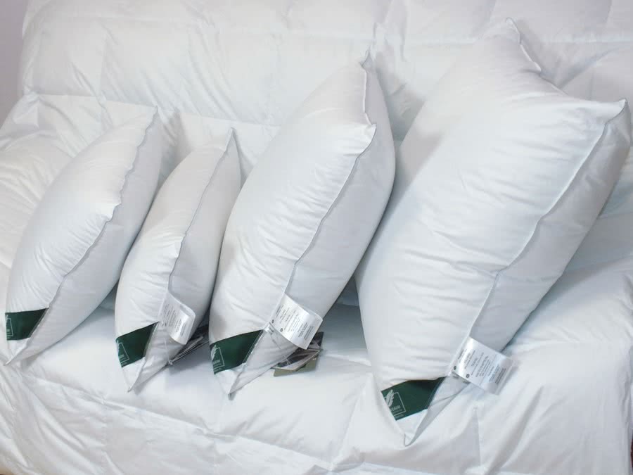 ������� Anna Flaum Eis, ������� 70�70 �� � ������� ������� ��������� � 24 �������