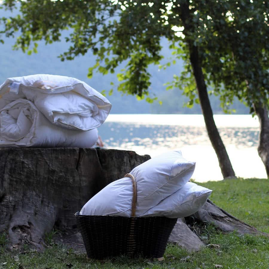 ������� ������� Daunex Aria 50, ������� � ��� � 54 �������