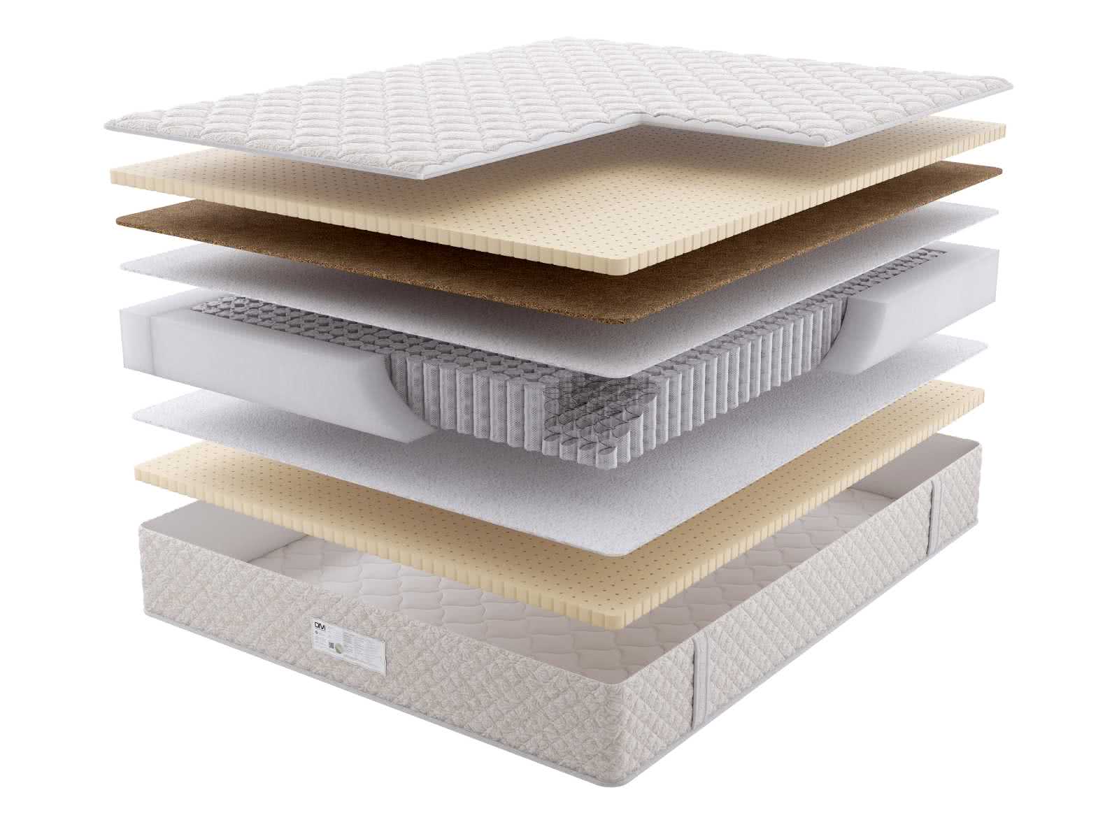 Dream Master ���� 5 MP