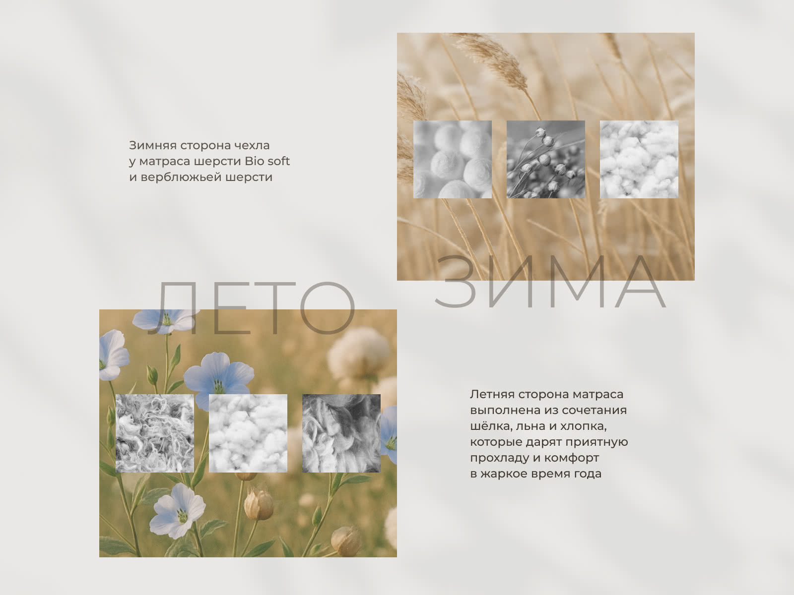 ������ Auriga Adhara � ���� 808186 �. � ������ �������: 24 ��.