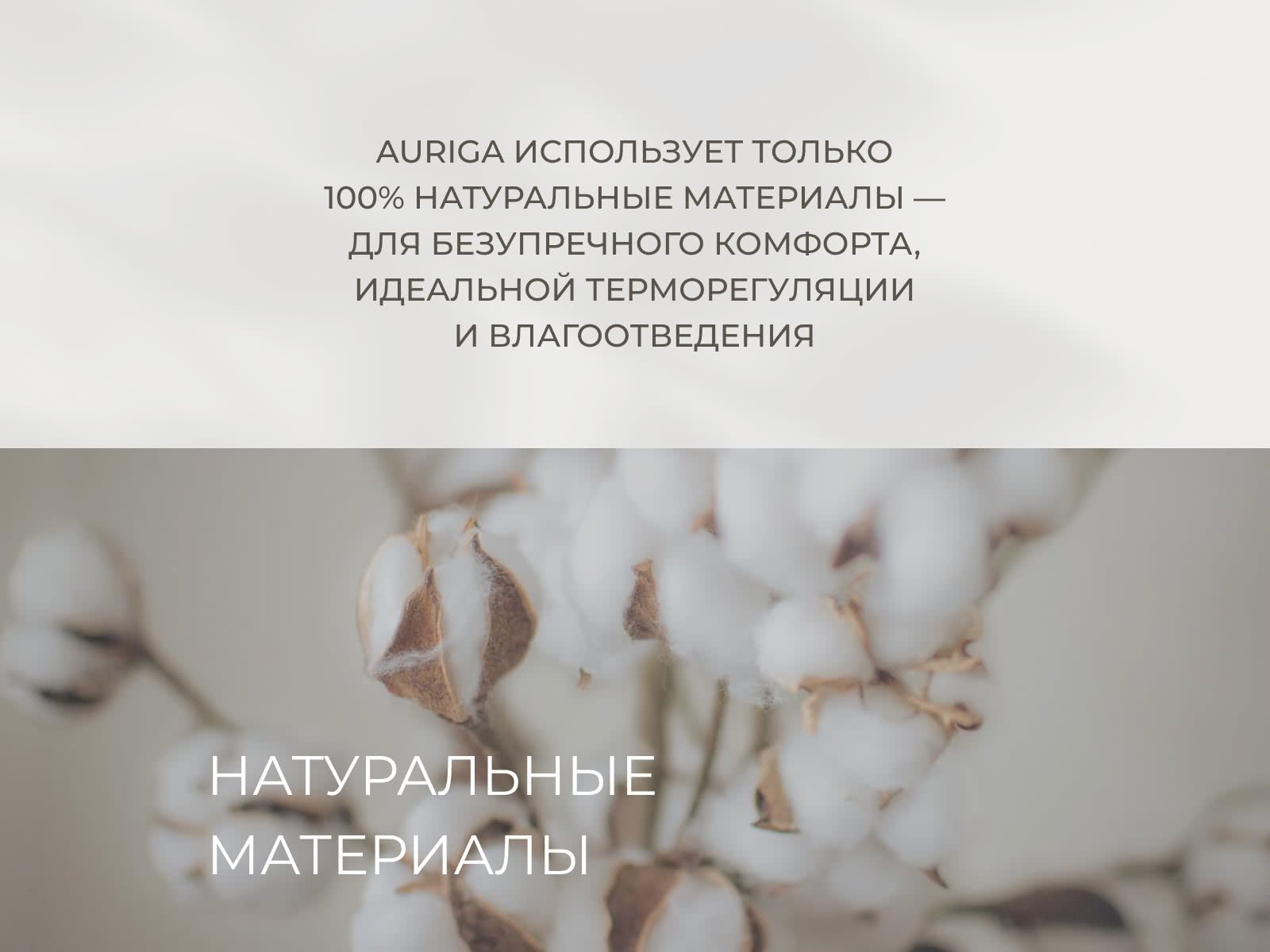 ������ Auriga Almaaz Firm � [120 x 190 ��] � ��������� �������, ������������ ���: 200 ��.