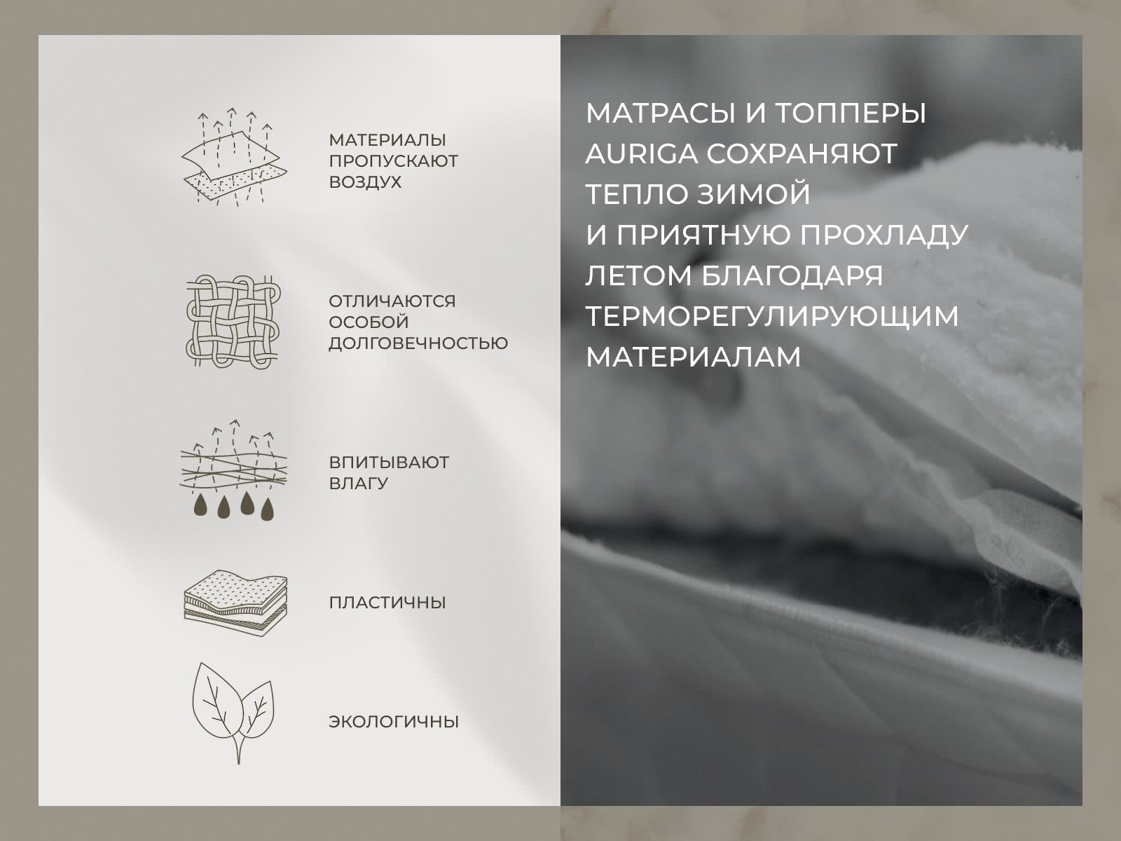 ������ Auriga Azaleh � ���� 331545 �. � ������ ������