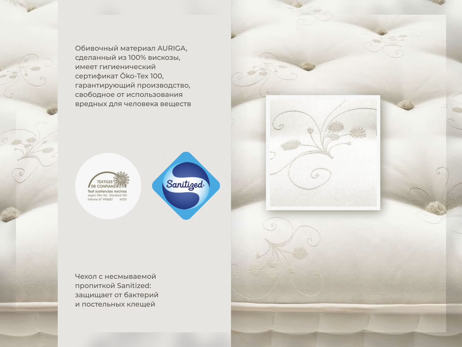 ������ Auriga Azaleh � ��� ������ � ����������� ������