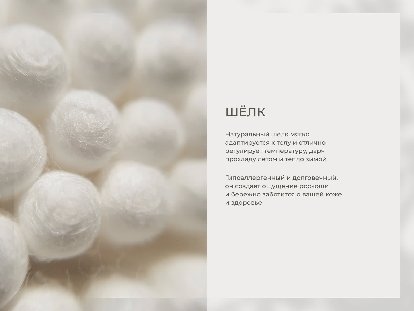 ������ Auriga Azaleh Firm � ����������� ������ � ������� � �������