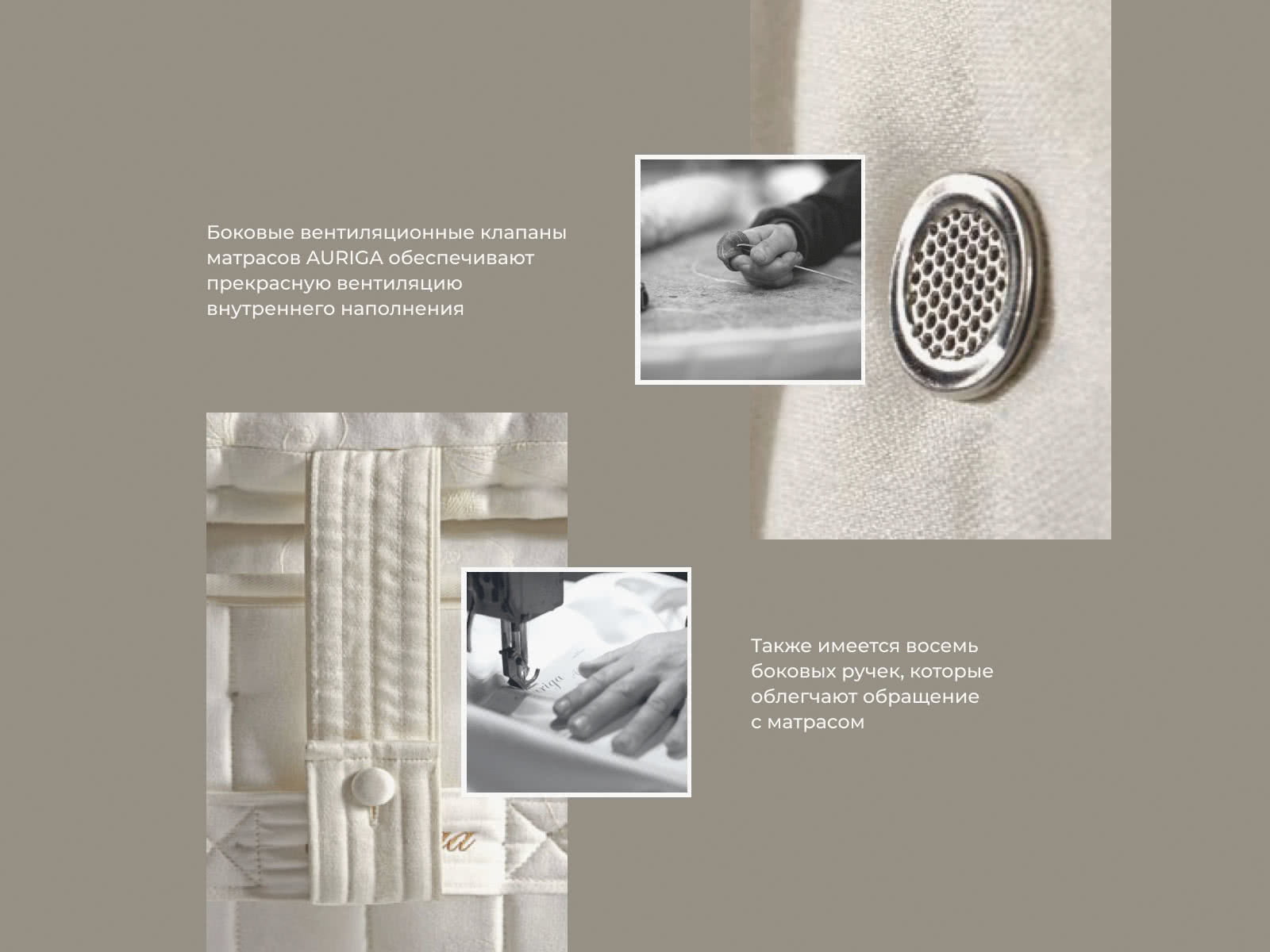 ������ Auriga Azaleh Medium � ��������-������ ������ � ������� � �������