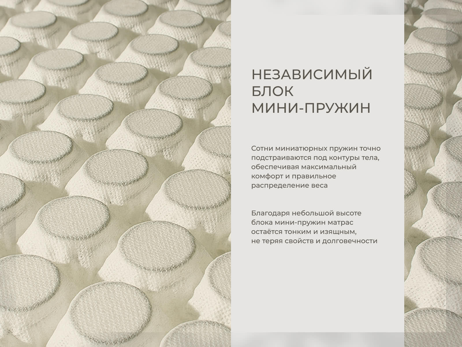 ������ Auriga Azaleh Medium � ��������-������ ������ � ����������� ��������� ����, 650 ������/�&sup2;