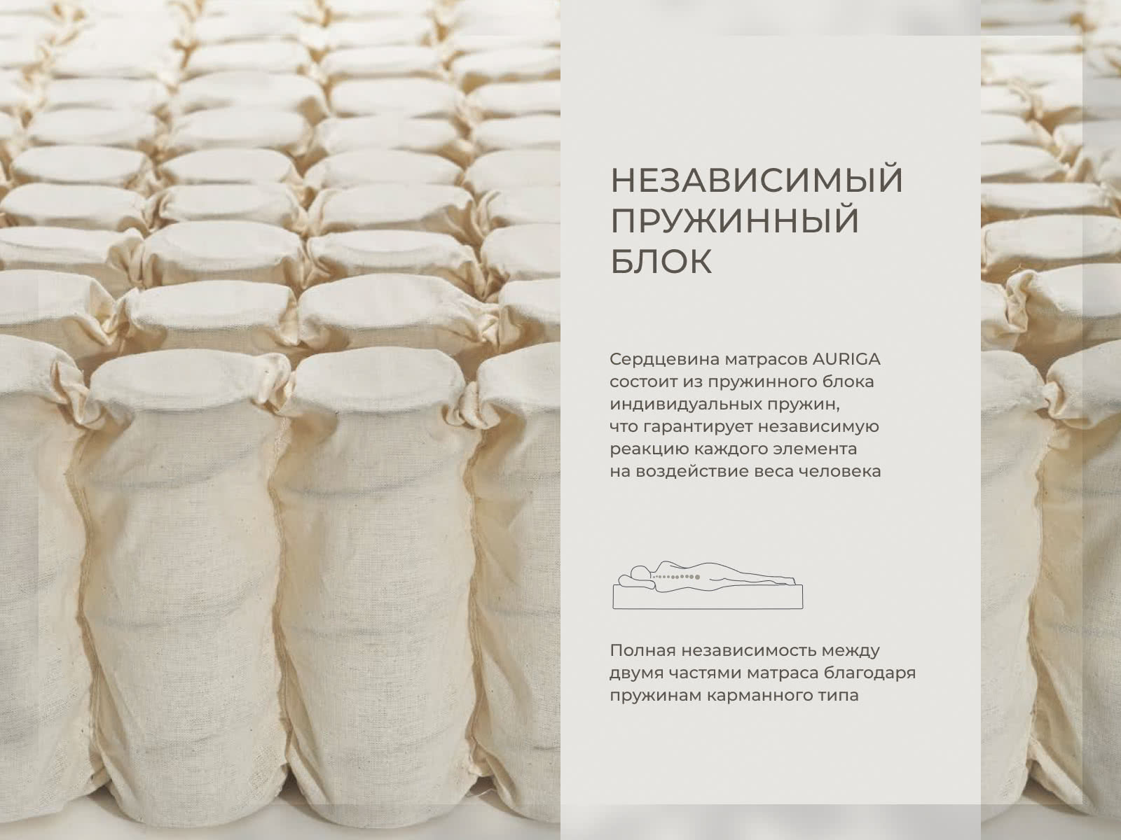 ������ Auriga Azaleh Medium � ��������-������ ������ � ���������� ����������