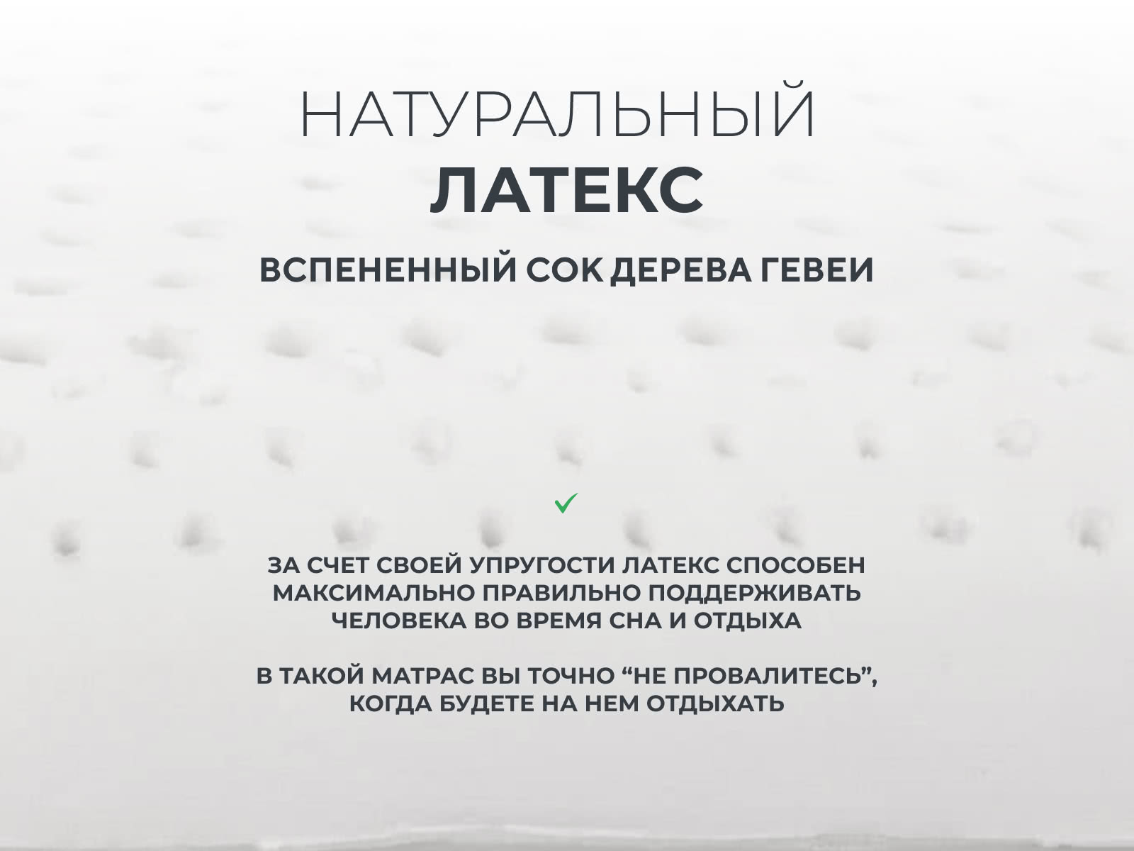 ������ Clever Bio � [65 x 180 ��] � ����������� ������