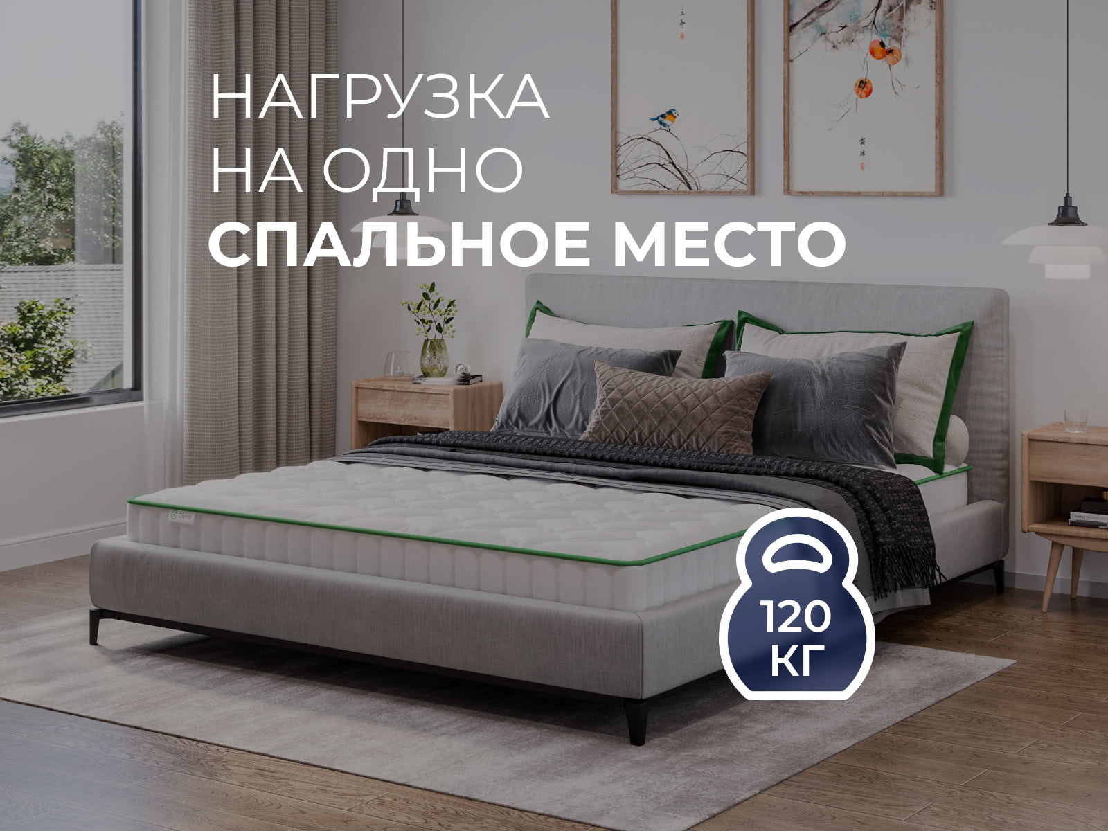 ������ Clever Flex Lite � [65 x 195 ��] � 1 ������