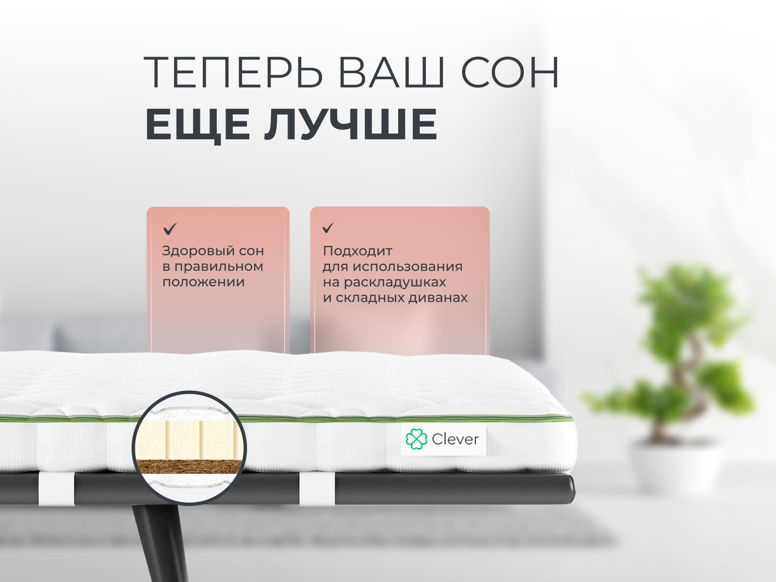 ������ Clever LatexTop Hard � ������� ����� � ������ �������: 4 ��.