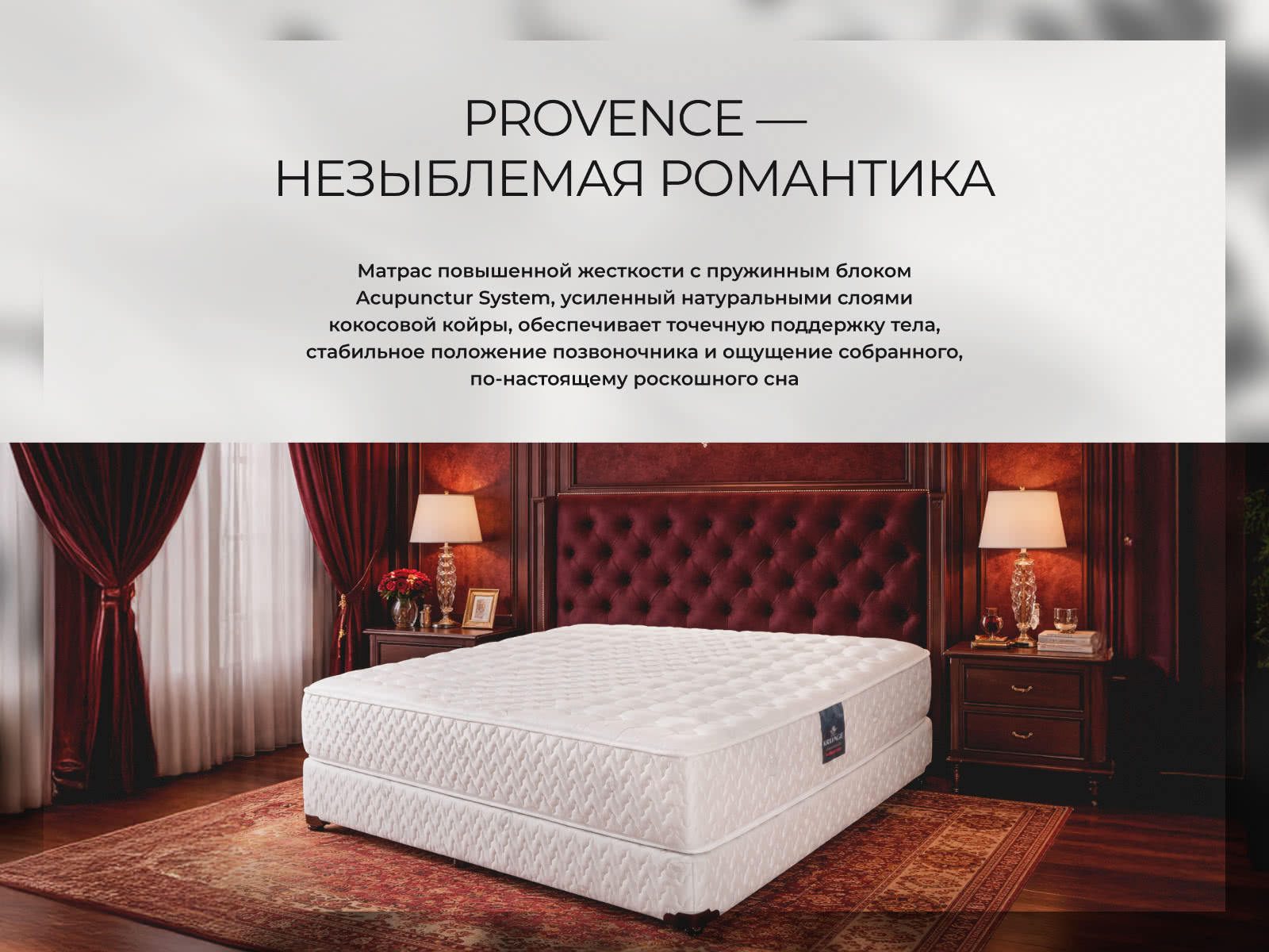 ������ ������ Provence ��������