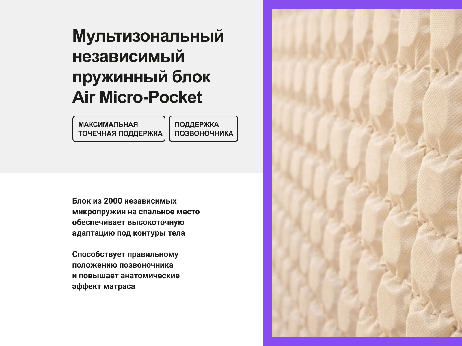 ������ darwin Air Spring � ������-������� ������ � ������ � �������� ������