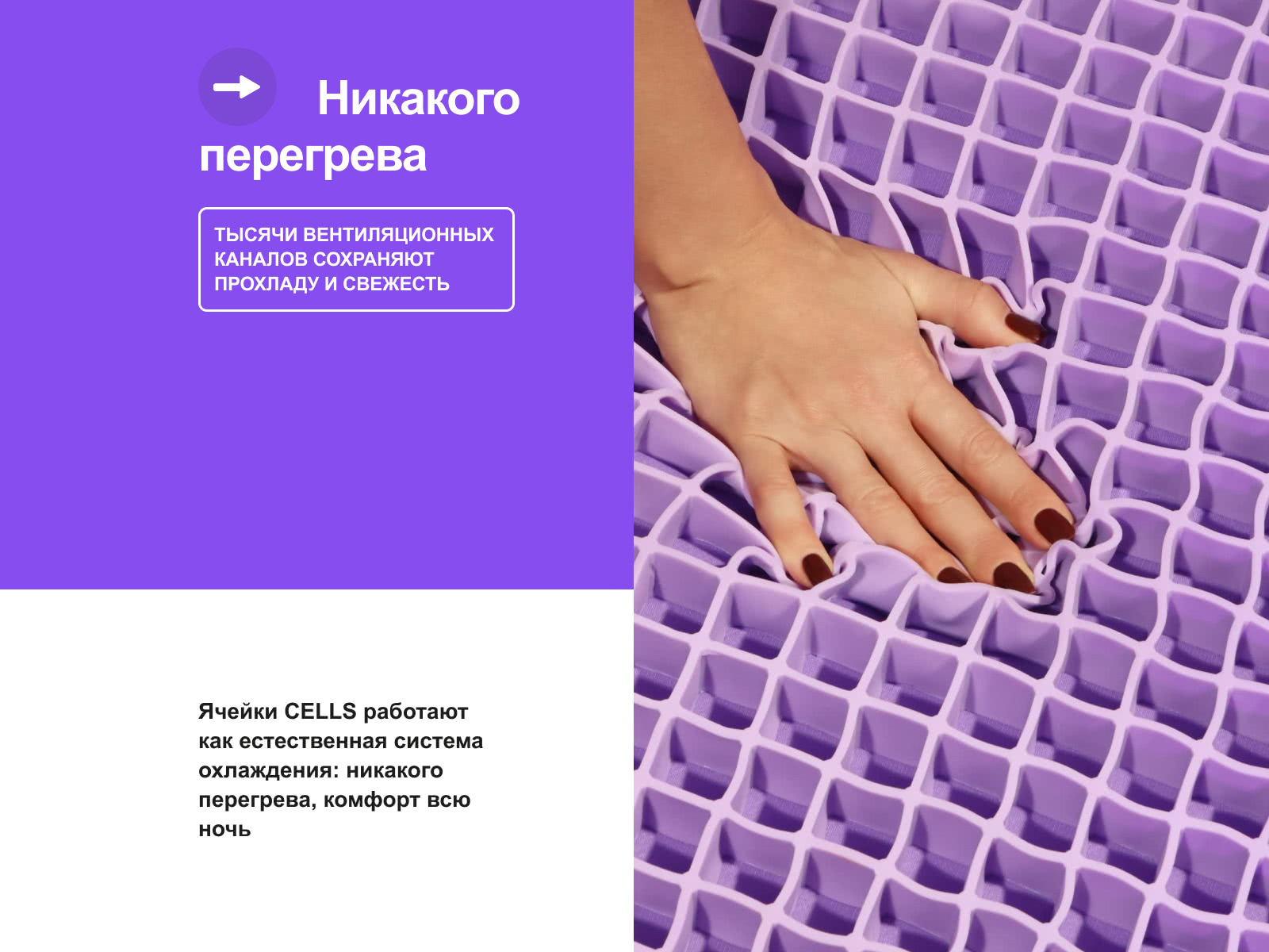 ������ darwin Cells Spring � ������-������� ������ � ������� �����