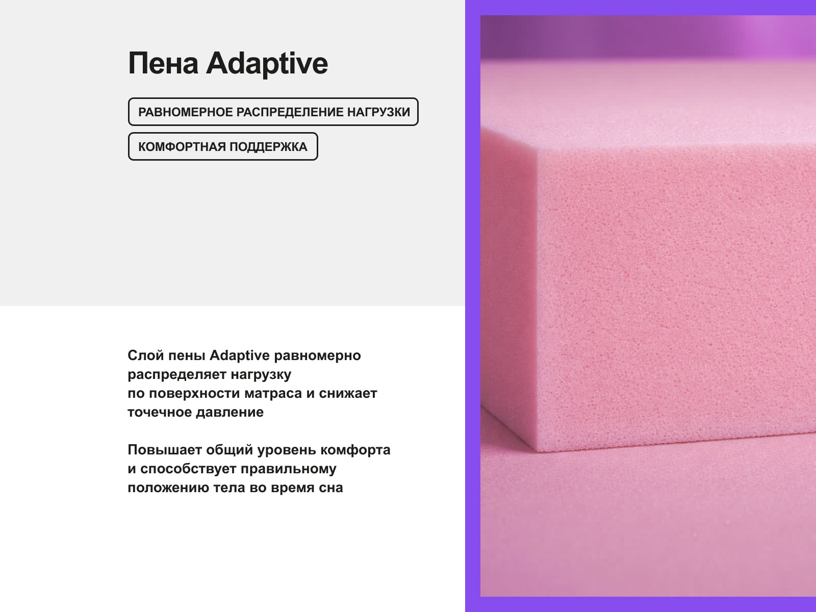 ������ darwin Cells Spring � ���� 117592 �. � ������� �����