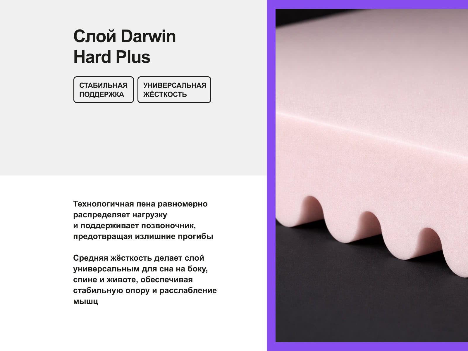 ������ darwin Evo Foam � ������-������� ������ � � ������