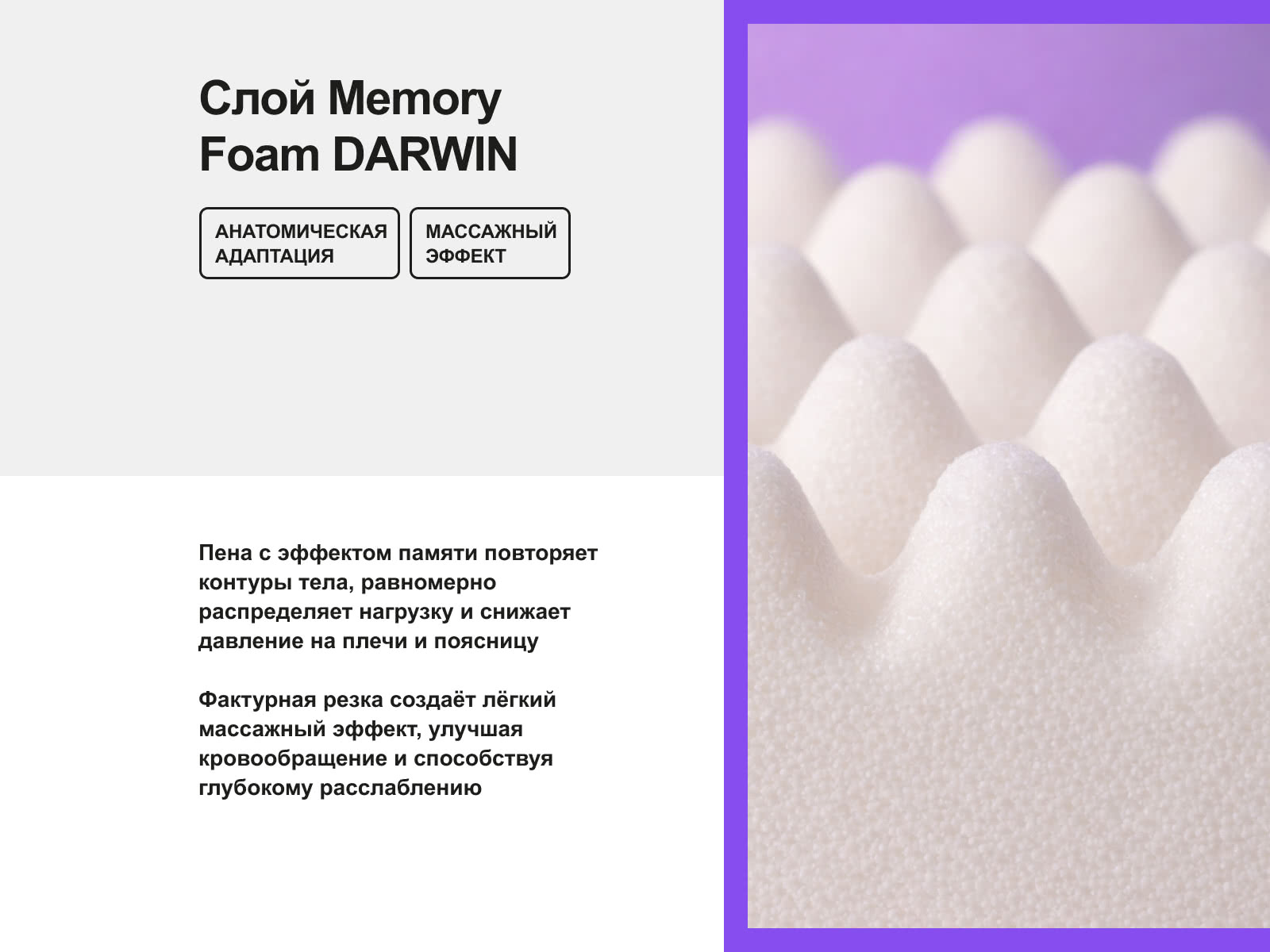 ������ darwin Evo Foam � ��� ������ � ������� �����