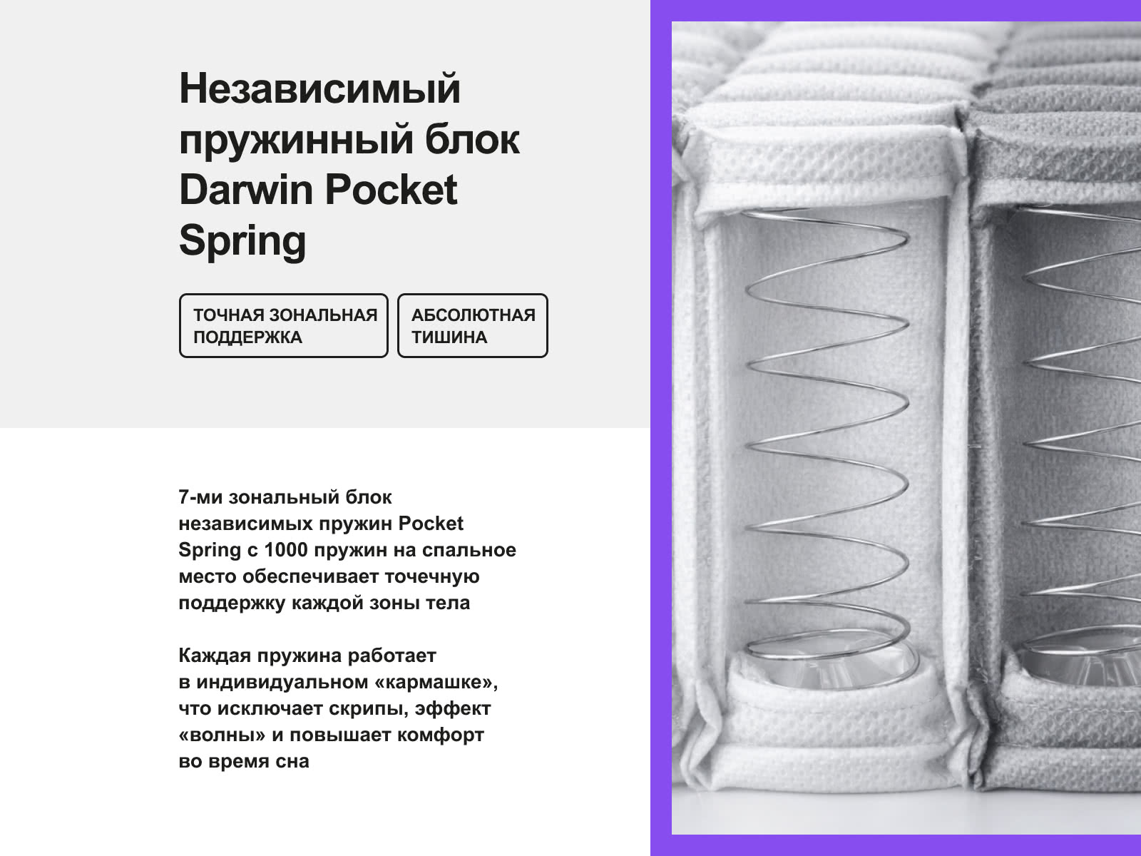 ������ darwin Evo Spring � ������������� ������ � ������-������� ������