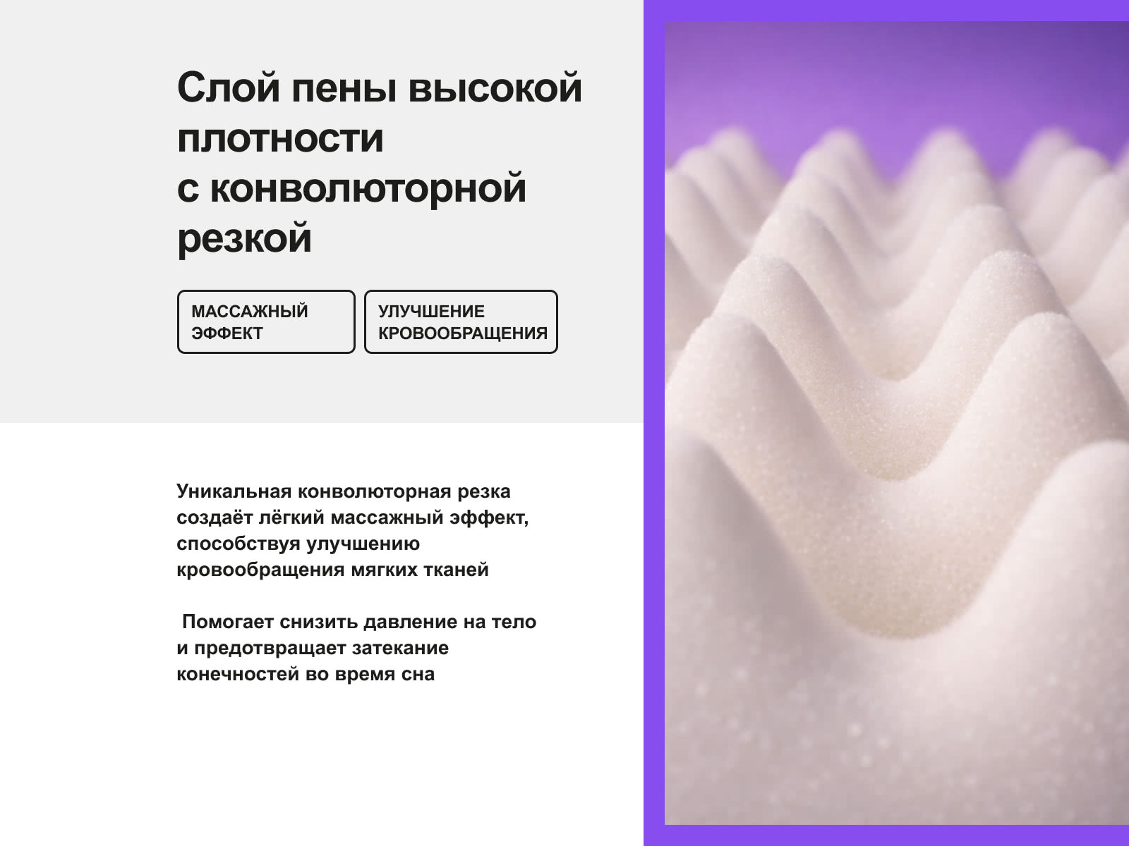 ������ darwin Foam � ���� 16106 �. � 1 ������