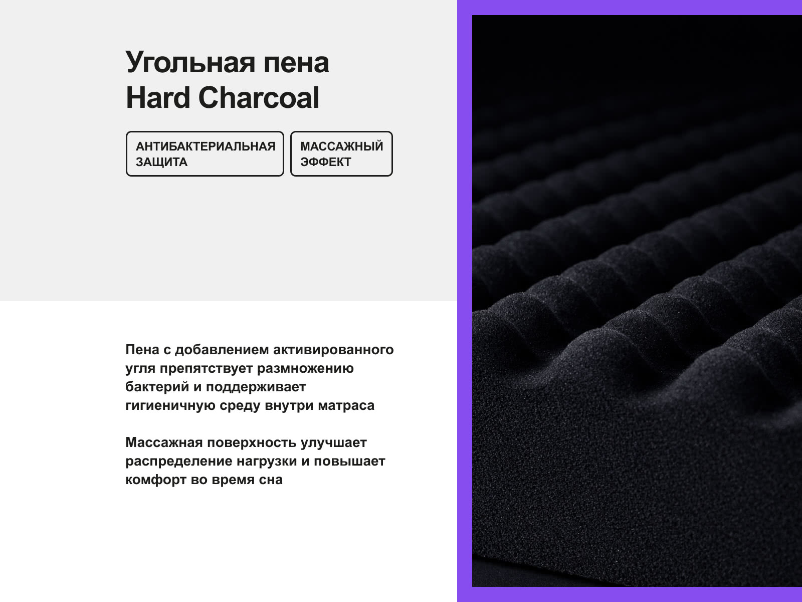 ������ darwin Life Spring � �������������� ����������� � ������� ������