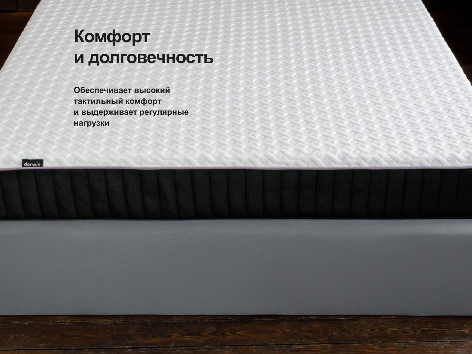 ������ darwin Life Spring � ���� 21590 �. � ������������� ������