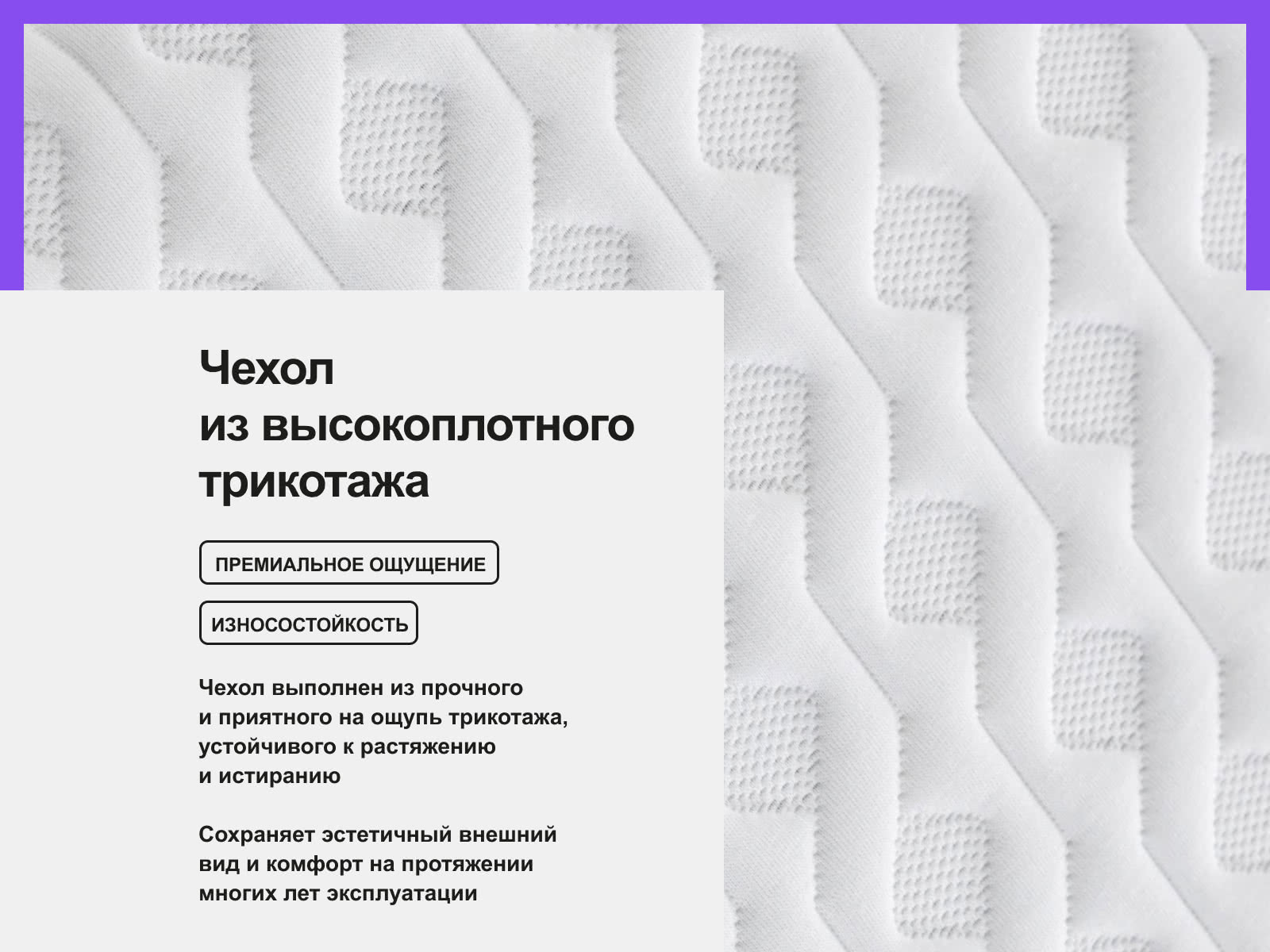 ������ darwin Life Spring � ������� ����� � � ������