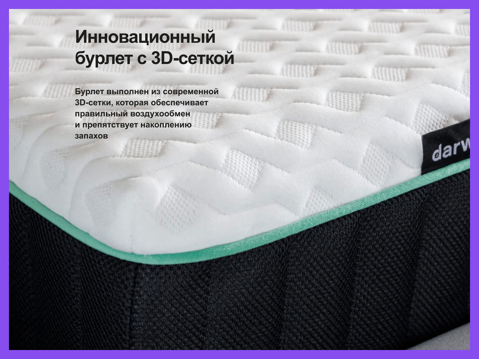 ������ darwin Orto Spring � ������� ����� � � ������