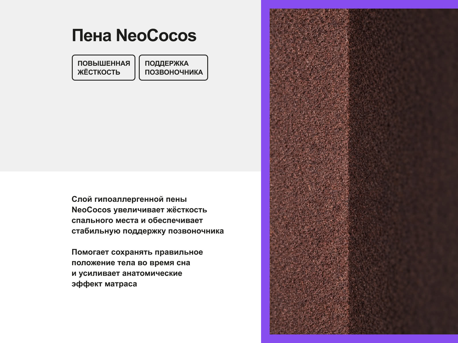 ������ darwin Orto Spring � ���� 26597 �. � ������ �������: 21 ��.