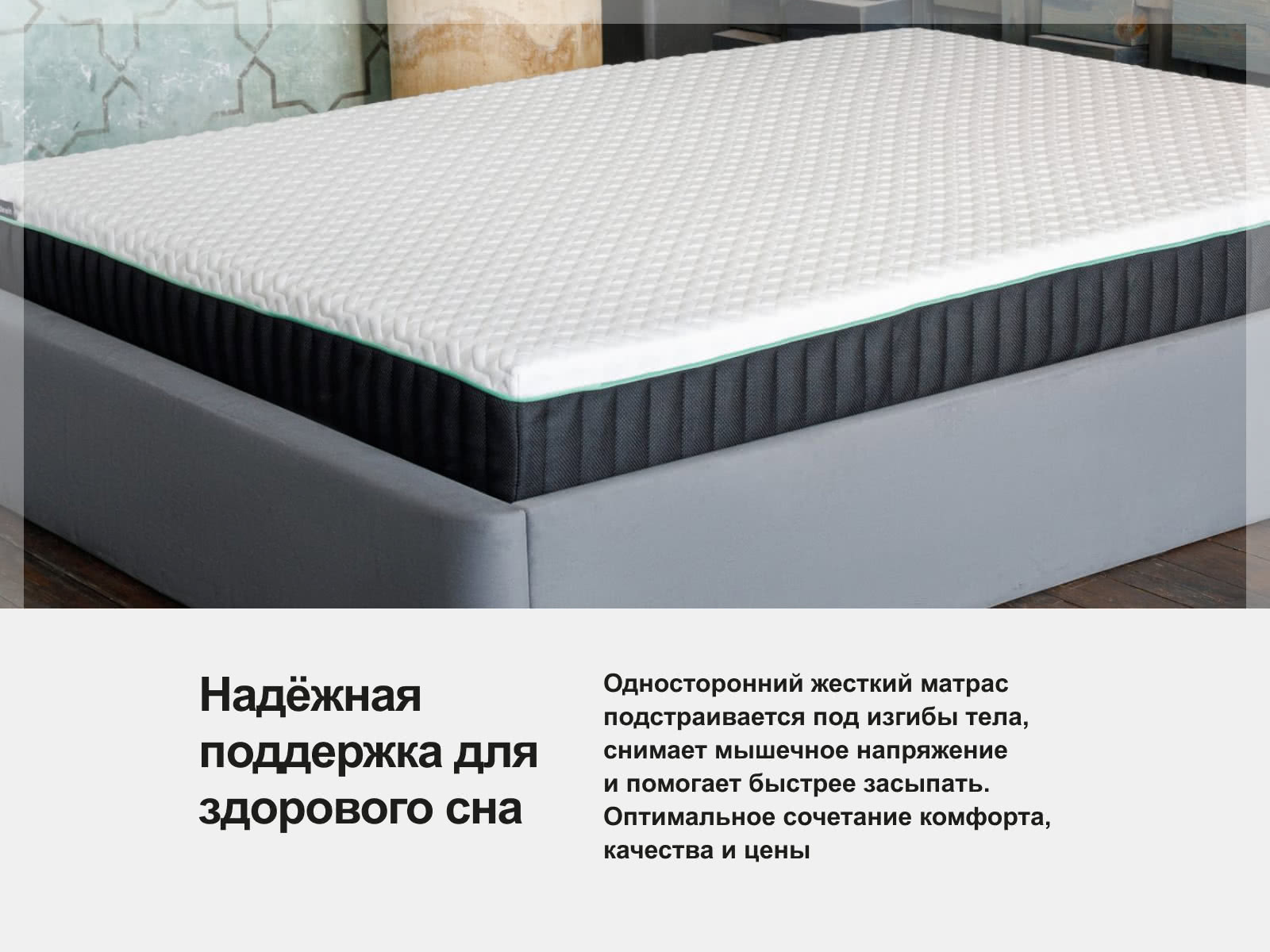 ������ Darwin Orto Spring ��������