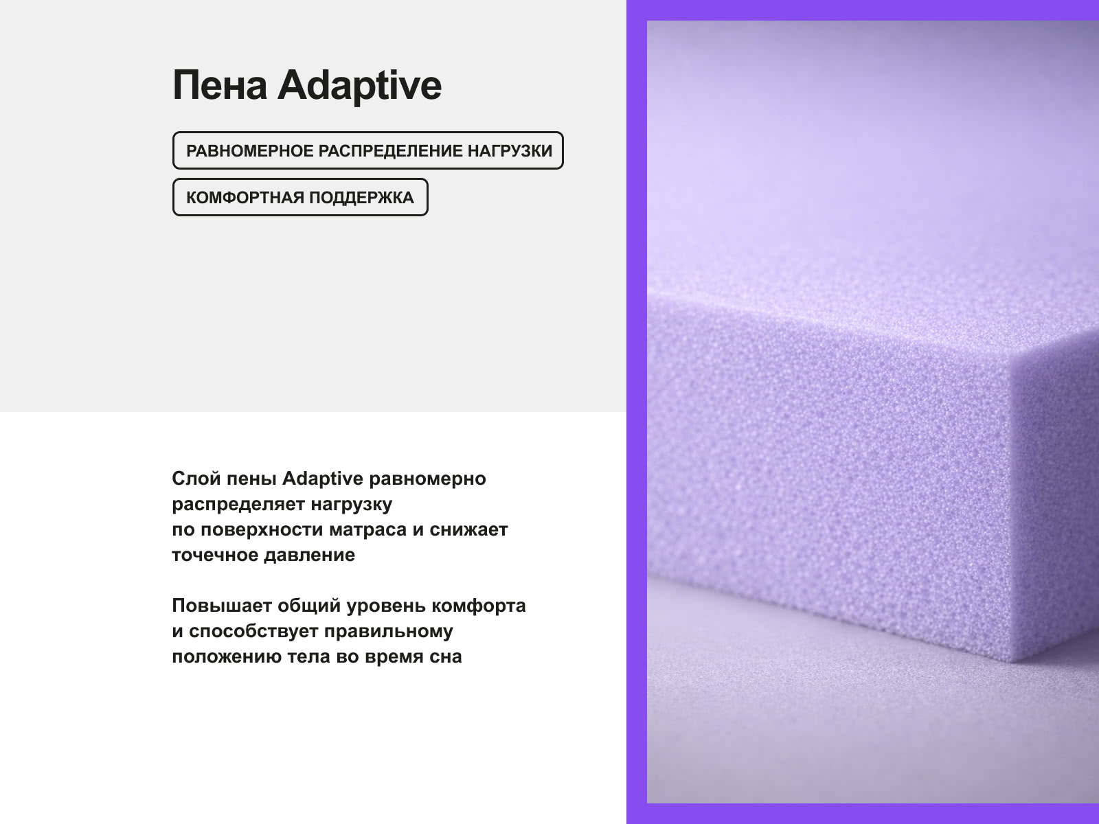 ������ darwin Orto Spring � ������� ������ � � ������