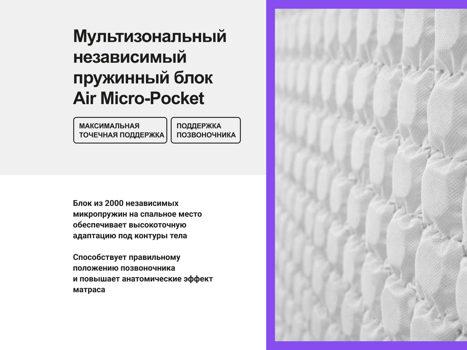 ������ darwin Spring � ����������� ��������� ����, 1000 ������/�&sup2; � 1 ������