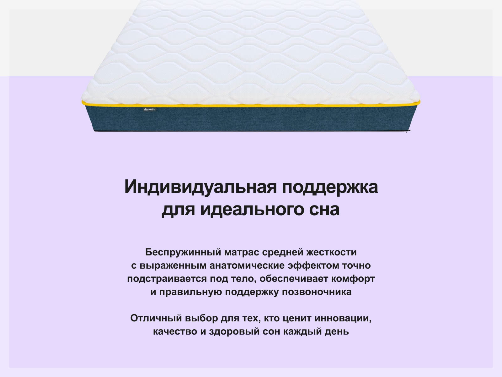 ������ Darwin Zone Foam ��������