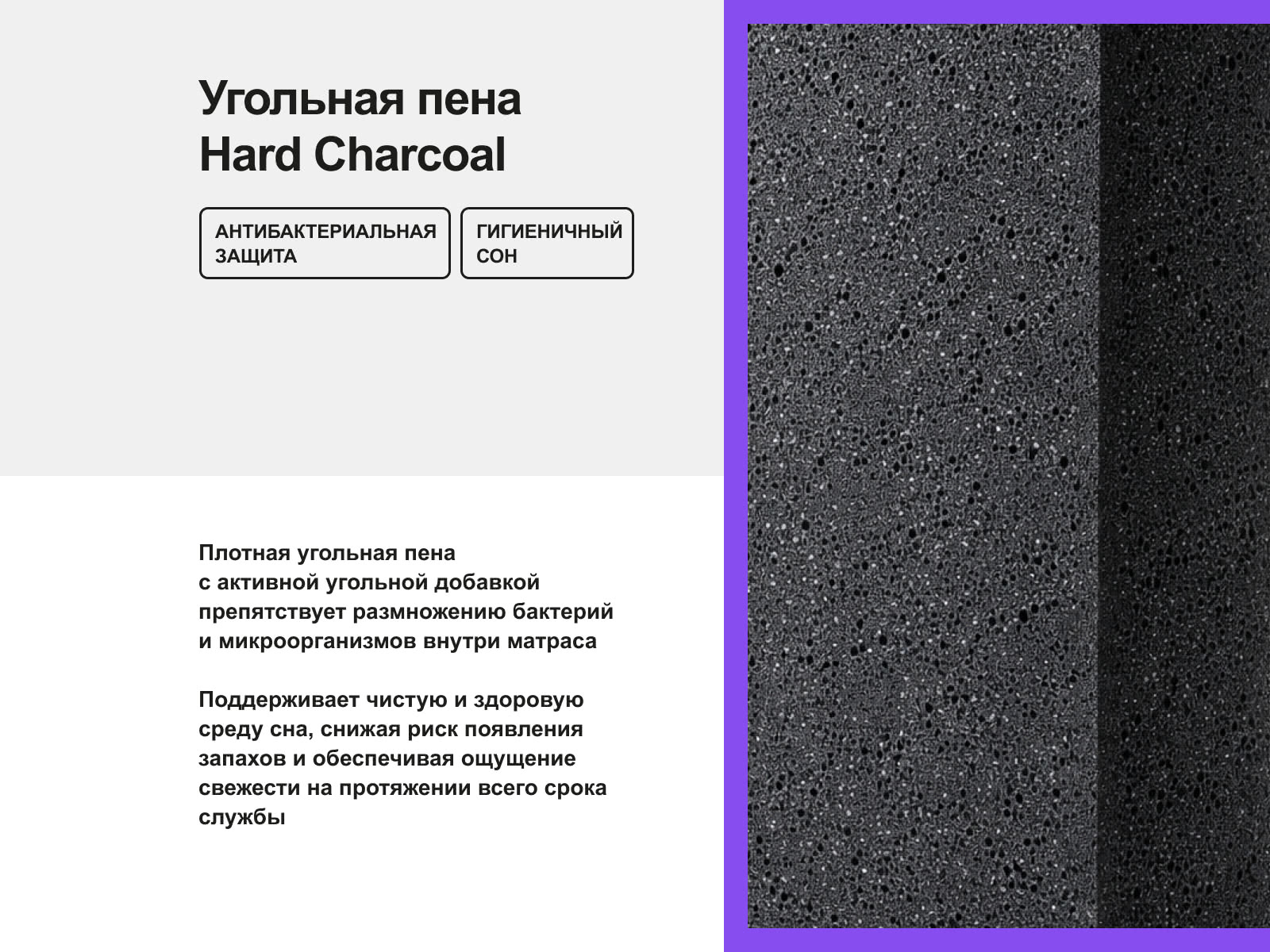 ������ darwin Zone Spring � ���� 19967 �. � ����������� ��������� ����, 350 ������/�&sup2;, 5 ��� ���������