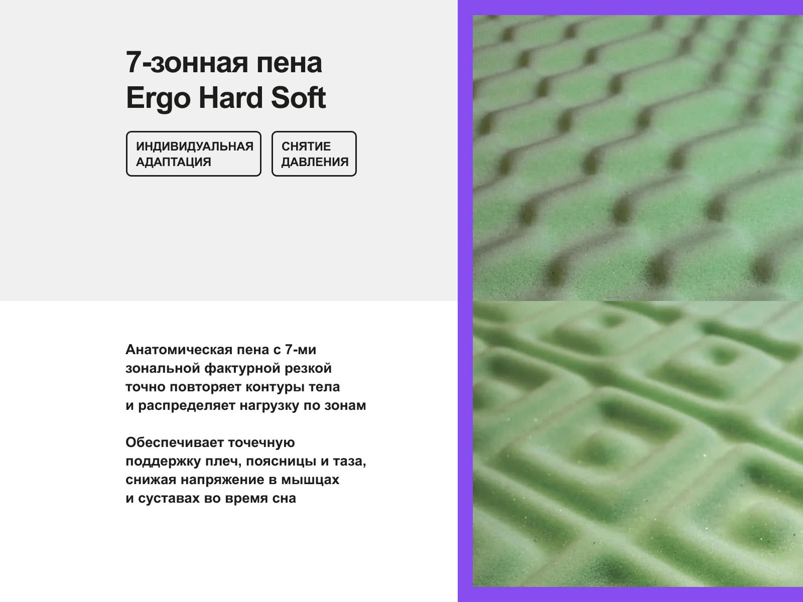 ������ darwin Zone Spring � ����������� ��������� ����, 350 ������/�&sup2;, 5 ��� ��������� � ��������� �������, ������������ ���: 150 ��.