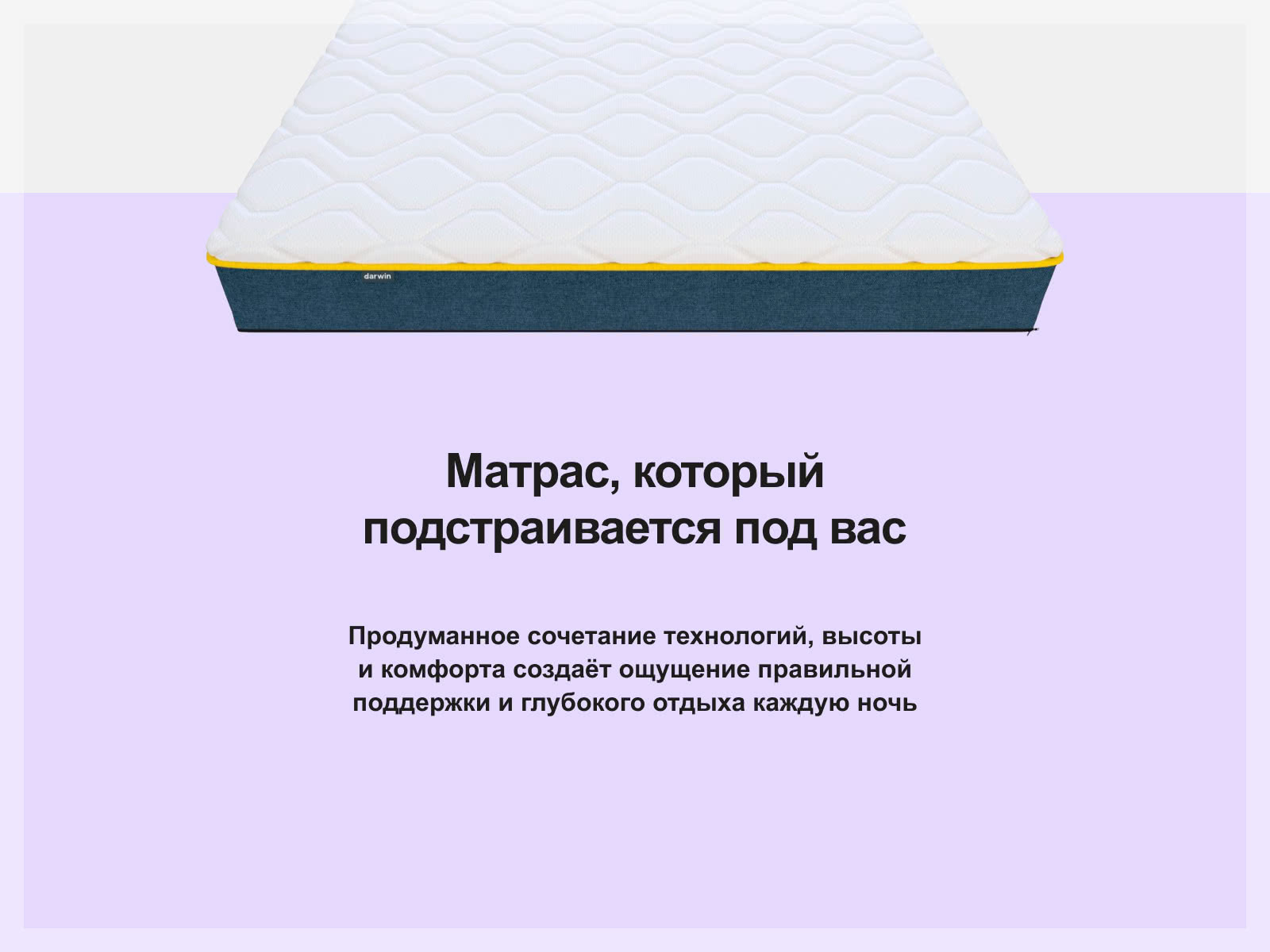 ������ Darwin Zone Spring ��������