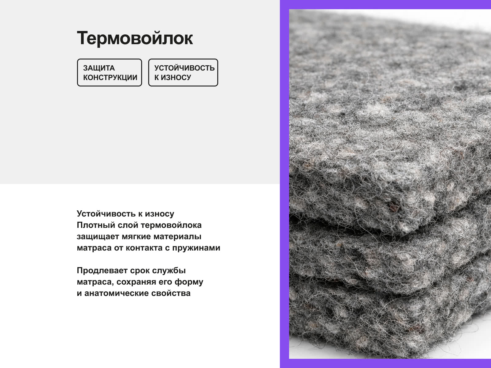 ������ darwin Zone Spring � � ������ � ������ �������: 27 ��.