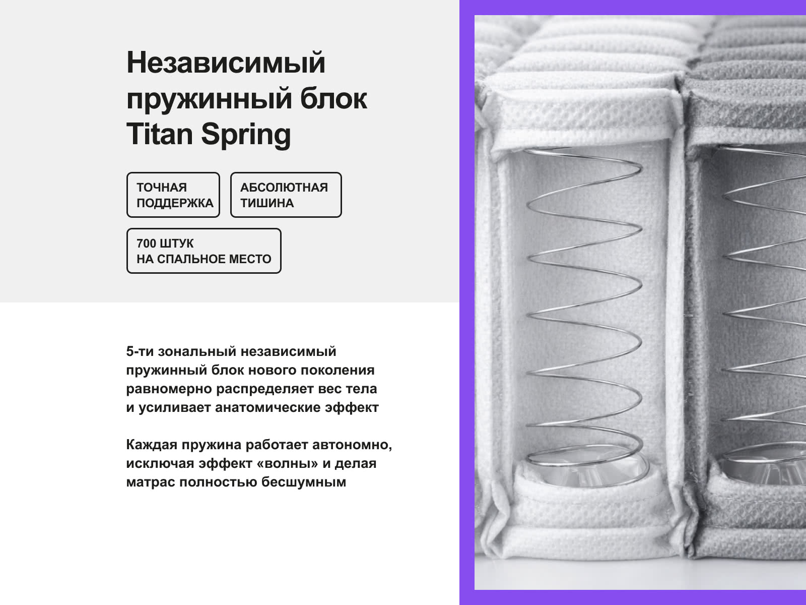 ������ darwin Zone Spring � �������������� ����������� � ������������� ������